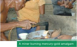 A miner burning mercury-gold amalgam