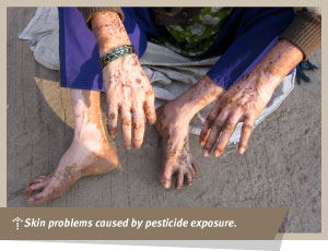 insecticides and pesticides examples