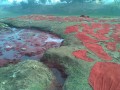 Tanneries