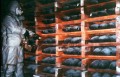 Chemical Weapons Convention