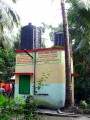 W. Bengal Plant