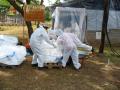 Tanzania: Transfer of the DDT