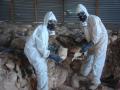 Tanzania: DDT Removal