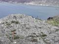 Radioactive Waste and Uranium Mines