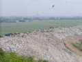 Industrial Dumpsites