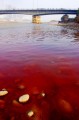 Tanneries